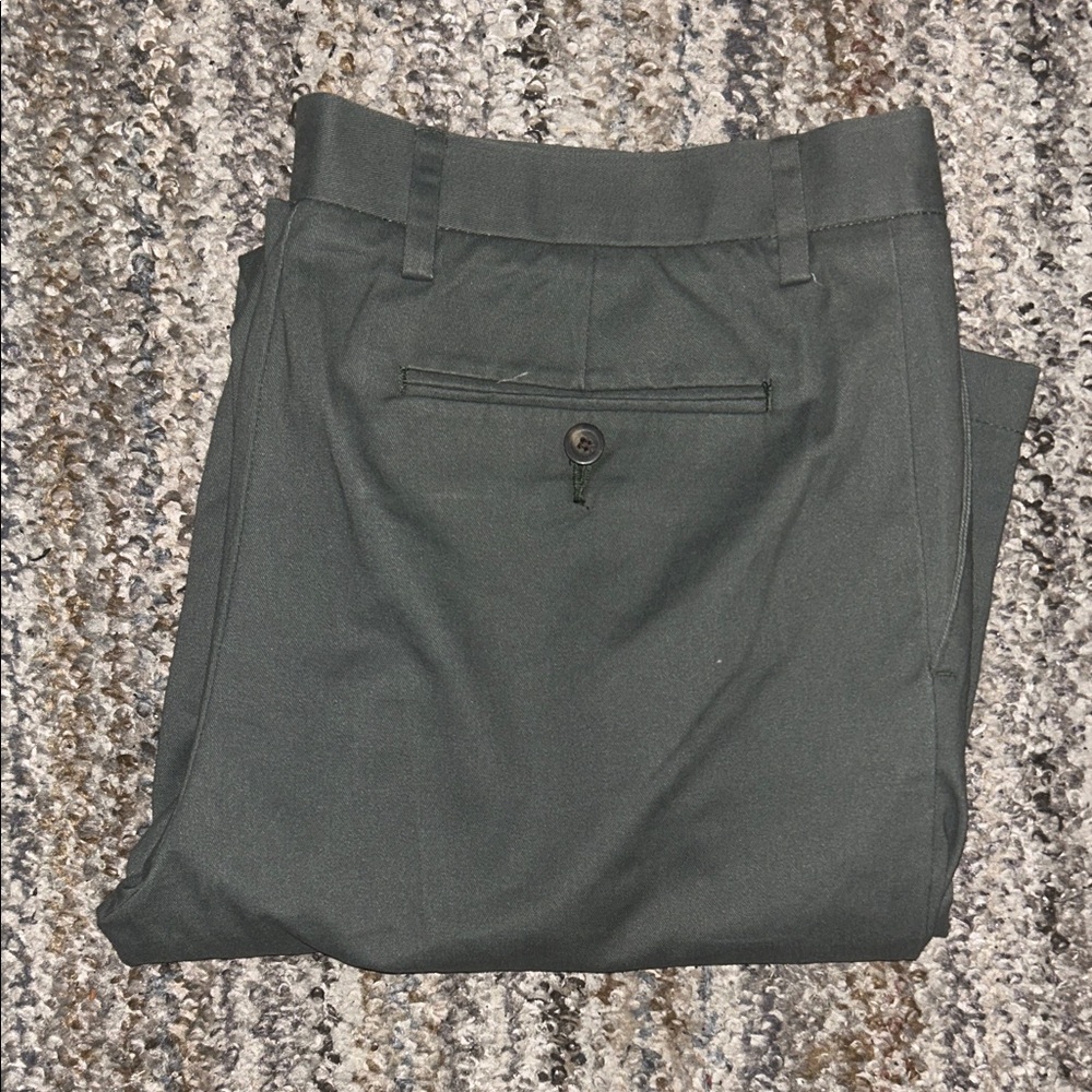 Amazon Essentials Men's Pleated Dress Pants - Sage Green (W32 L34)